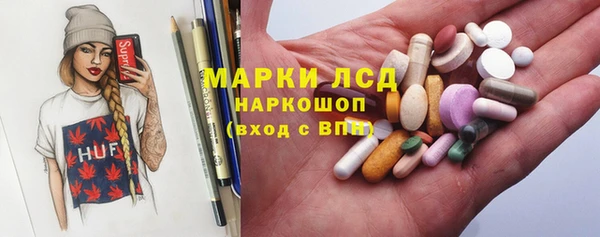 прущие грибы Дмитриев