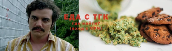 прущие грибы Дмитриев