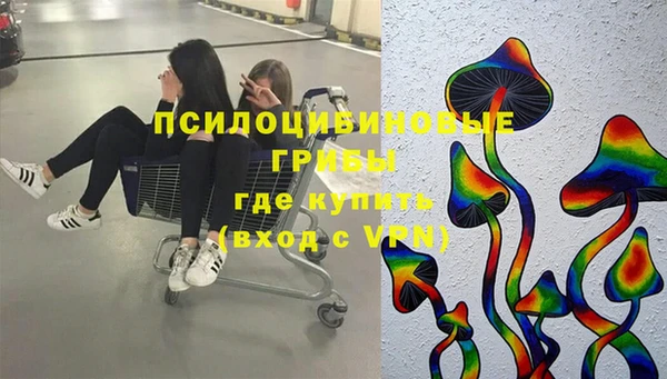 стафф Дмитров