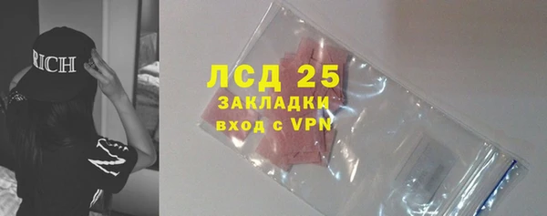 прущие грибы Дмитриев