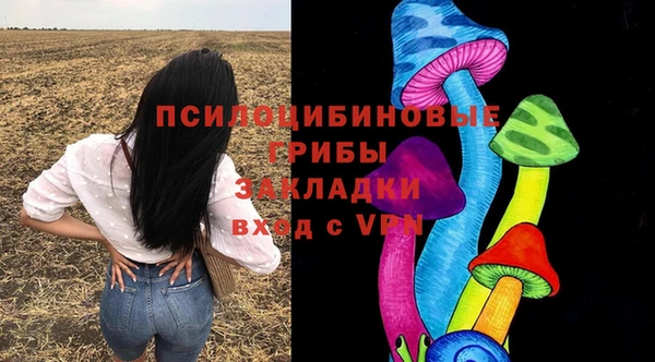 прущие крисы Дмитровск