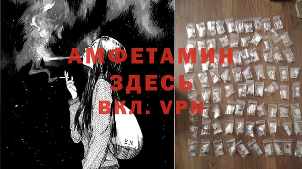 прущие грибы Дмитриев