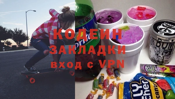 прущие грибы Дмитриев
