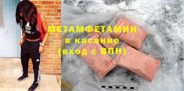 прущие грибы Дмитриев