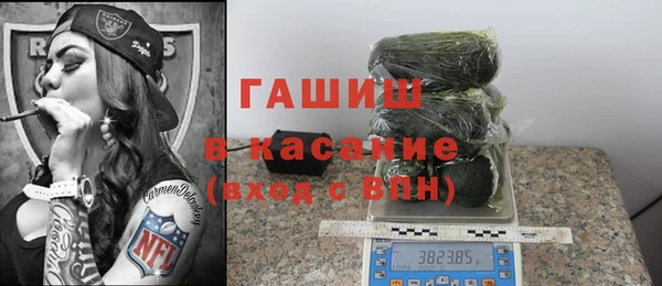 прущие грибы Дмитриев