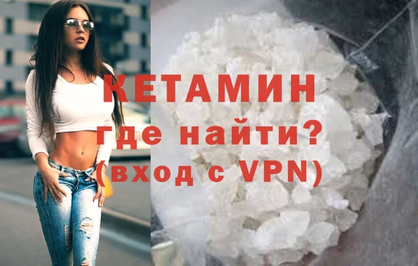 прущие грибы Дмитриев