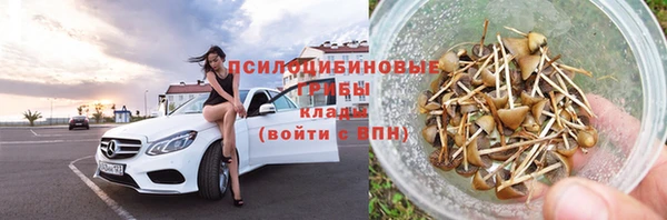 прущие грибы Дмитриев