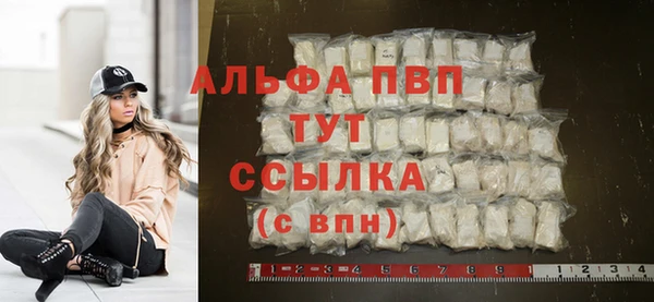 стафф Дмитров