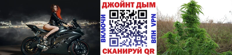 Конопля ГИДРОПОН  Купить  Ковылкино 
